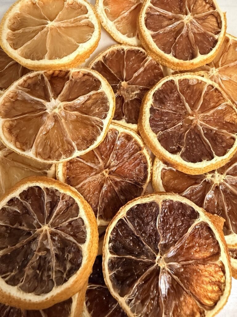 2oz Triple Washed Dehydrated Florida Lemon Slices Garnish for Cocktails Baking