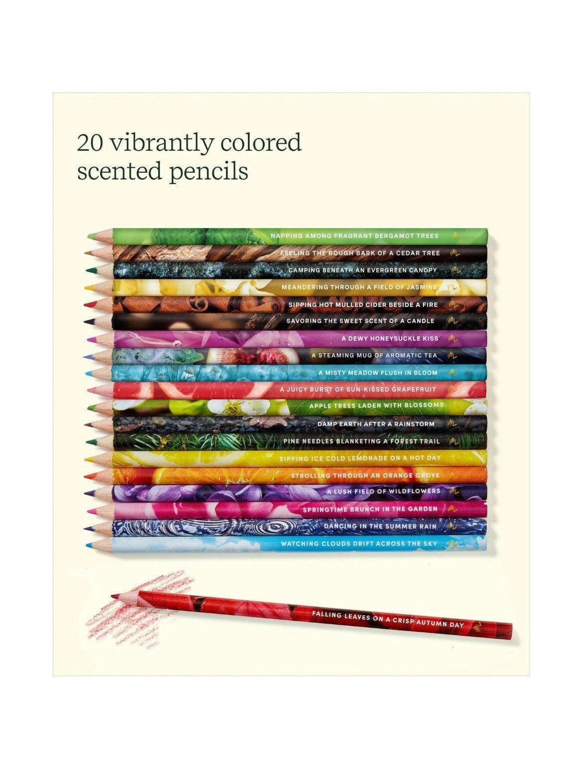 Rub & Sniff Scented Colored Pencils - 20-pack